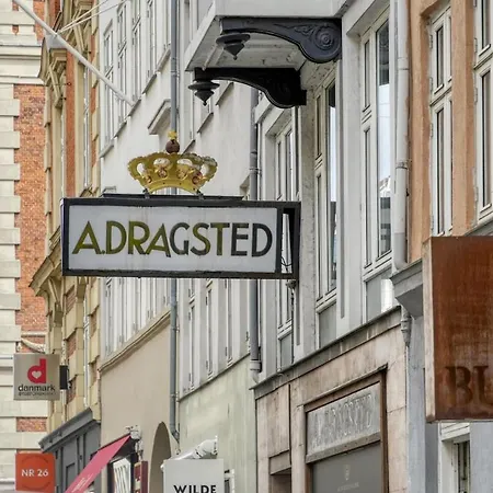 Stylish In The Heart Of Cph